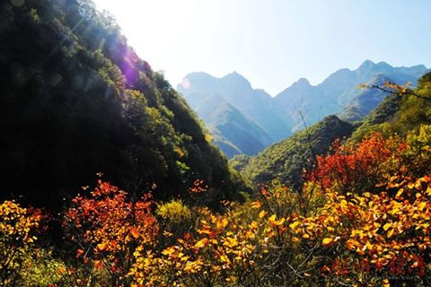 打鐵還需自身硬！柴油發(fā)電機(jī)組挺近“鍛造之鄉(xiāng)”